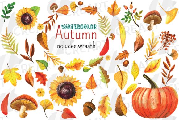 Autumn Leaves, Pumpkin, Sunflower & Nuts Clipart