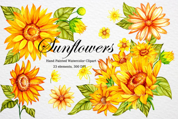 Elevating Visual Storytelling with Authentic Watercolor Sunflowers Clipart