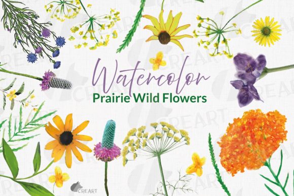 Prairie Grasses and Wildflowers Clip Art for Design
